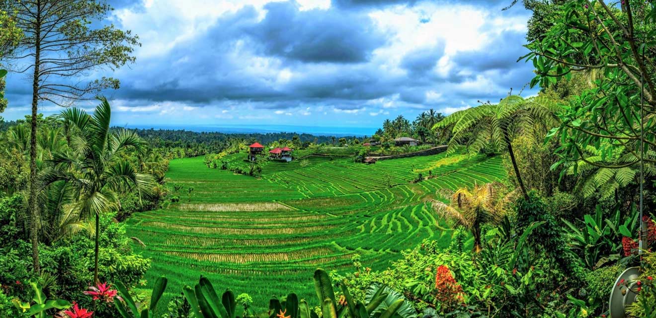 Blissful  Bali Tour