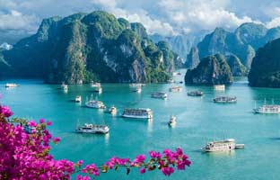 South Vietnam Tour